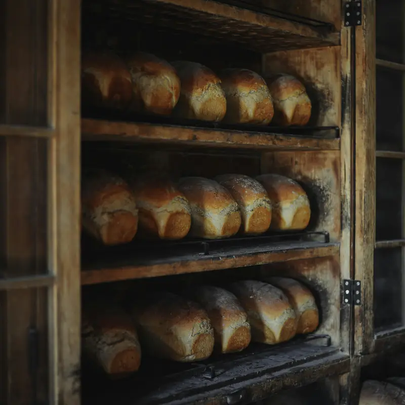 Des pains alignés sur les étagères en bois du fournil